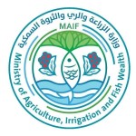 وزارة الزراعة تحذّر الصيادين من اضطرابات بحرية خطيرة بسبب المنخفض الجوي